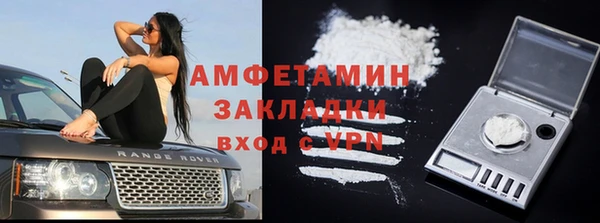 винт Абаза